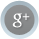Google +1
